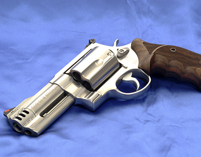 Smith & Wesson Model 500 with 4" barrel and Nill Grips