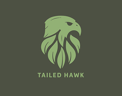 Tailed Hawk