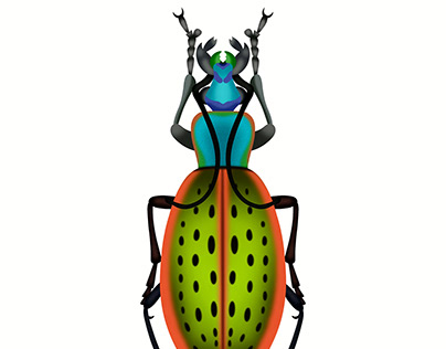 Green Dot Beetle