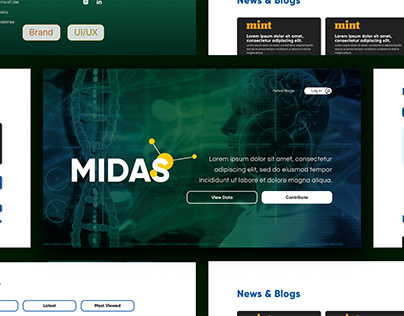 Project thumbnail - MIDAS Website Design