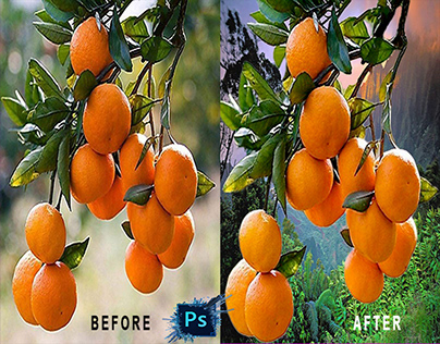 Background remove & product edit