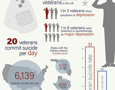 Veteran Infographic