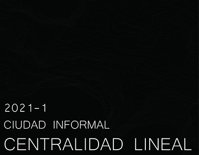CENTRALIDAD LINEAL - Projecto U.I Ciudad Informal