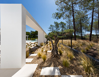Casa Garrão • Landscape Arch Project • Garden Completed