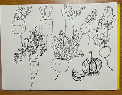 Day17-draw a radish,rootvegetable