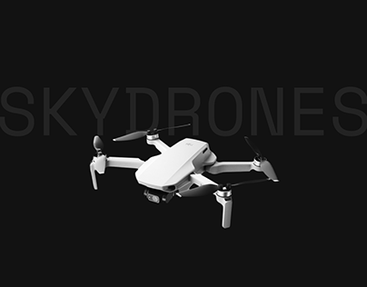SkyDrones | Web Design at Wix