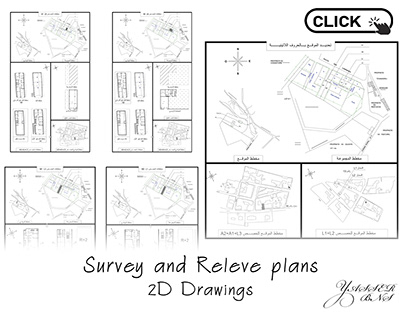 Survey and Releve plans