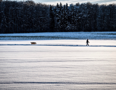 a winterwalk...