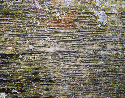 Photo of Coarse Textured Concrete Floor Background