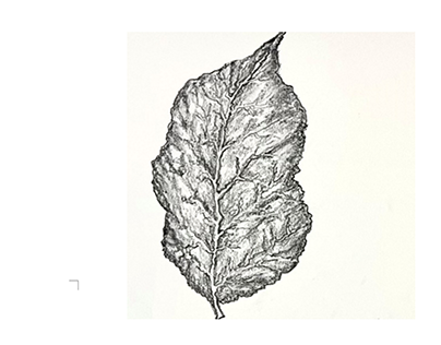 WEEK 2- Passing of Time "Withering of a Leaf"