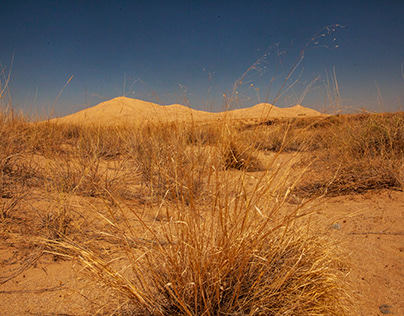 Kelso Dunes in the Mojave Desert