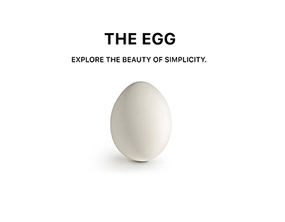 Exploring the Beauty of Simplicity: One-Day Egg Project