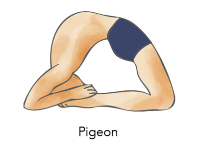 Typology Of Yoga Postures