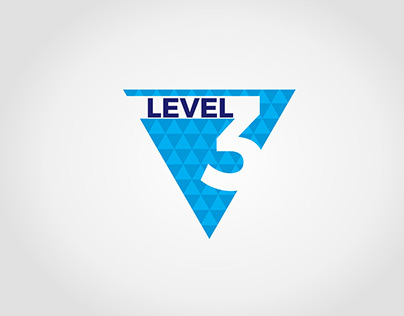 Level 3 - (Consultancy Company)