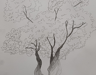 Tree (Nature)