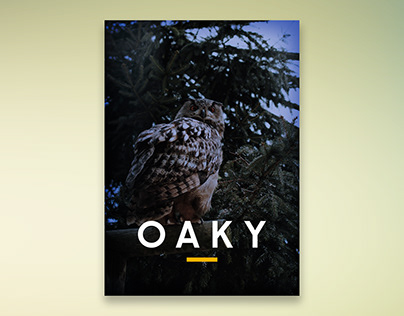 OAKY | Movie Poster