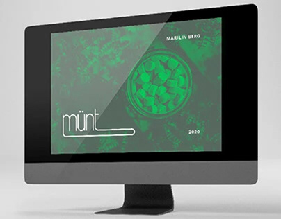 INVESTOR PITCH VISUALS FOR MÜNT