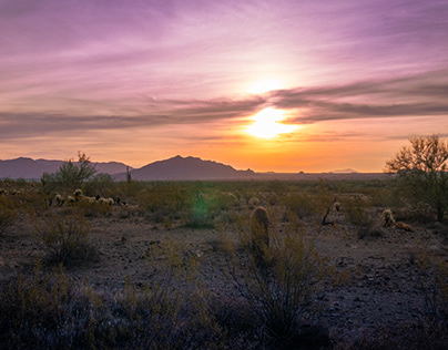 Desert Landscape Photography