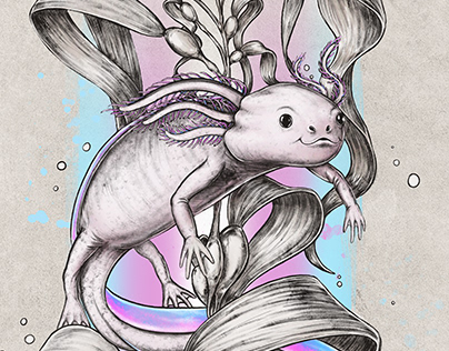 Trans Axolotl
