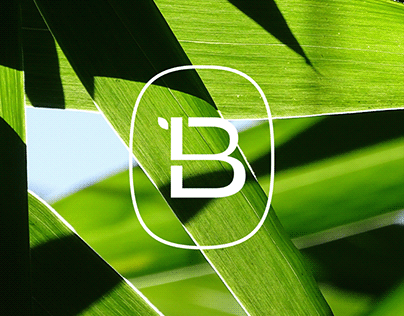 LOGO DESIGN - Bamboo brand