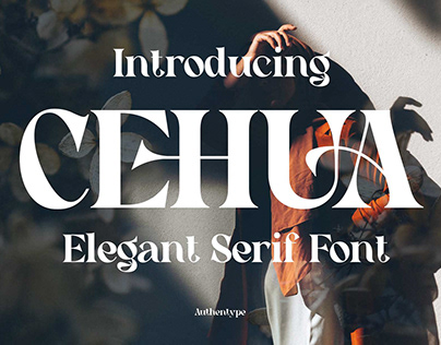 Free Cehua elegant serif font