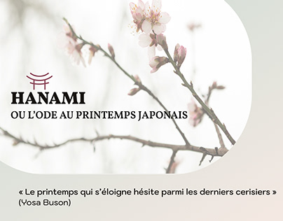 Hanami website - UX/UI/Intégration