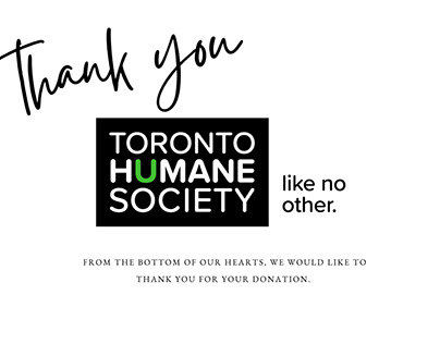 Toronto Humane Society Fundraising Letter