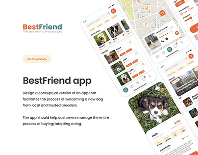 BestFriend App UX/UI Case Study
