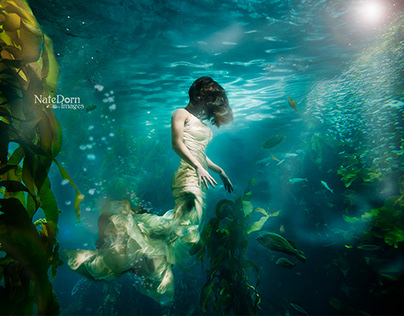 "UnderCurrents" (Underwater Photo Art)