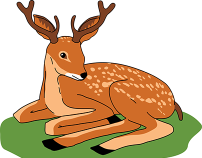 Deer Pose