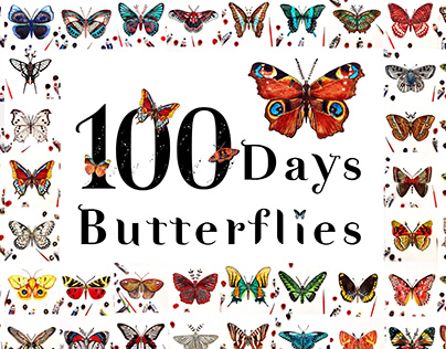 100 Days Butterflies