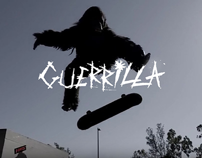 Guerrilla Skateboards