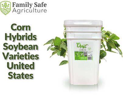 Corn Hybrids Soybean Varieties United States