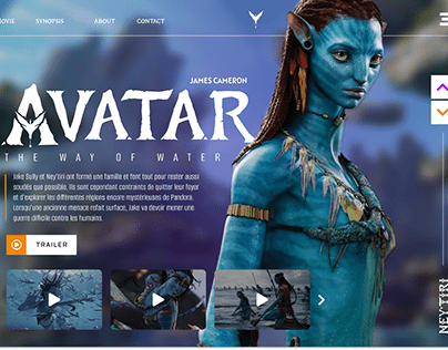 Concept Web Design Avatar
