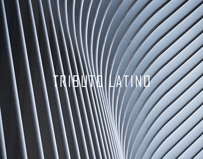 visual identity project proposal for TRIBUTO LATINO //