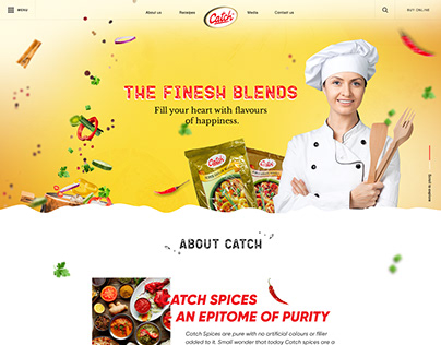 Catch food Masala home page concept design.