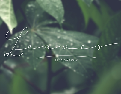 "Leaves" tipografía