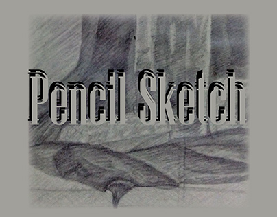 Pencil Sketches
