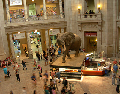 The Smithsonian Museum