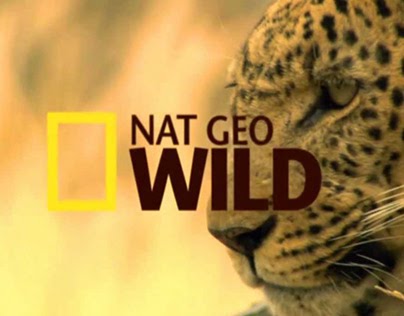 Nat Geo Wild: Shock and Awe Week 30sec PROMO