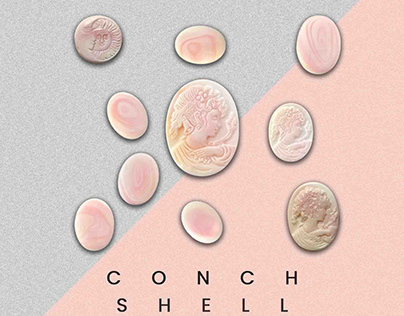Authentic Conch Shell Cabochons - Gemstone Collection