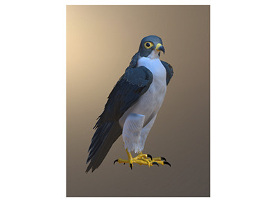 Peregrine falcon | Digital sculpting