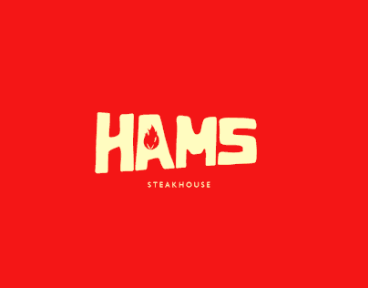 HAMS - ID Visual