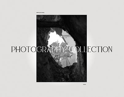 Photography Collection