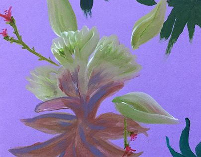 Tropical Bromeliad Flowers