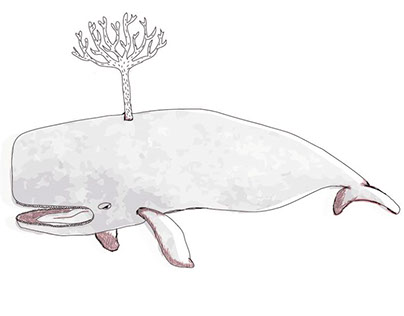 Ilustración ballena