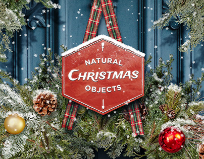 Natural Christmas Objects Bundle