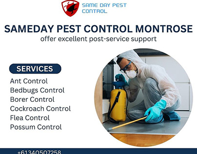 Montrose Pest Defense: Keeping Homes Safe and Pest-Free