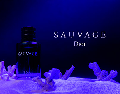 Project thumbnail - DIOR SAUVAGE - Photography