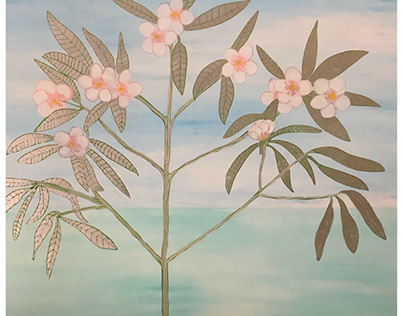 Pale Pink Plumeria 36” x 36” Acrylic on Canvas